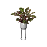 b.for studio rond 30cm living ciment